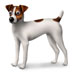 Jack Russell Tech Logo